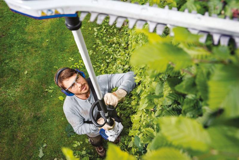 Location taille haies sur Aix en Provence